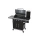 GRILLMEISTER Gasgrill, 4plus1 Brenner, 19,7 kW, mit 4 Garzonen - B-Ware sehr gut