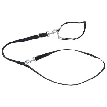 ZOOFARI® Hundehalsband und Hundeleine (Schwarz, S) -...