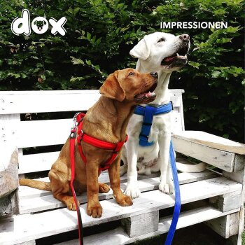DDOXX Hundegeschirr Nylon, Step-In, Verstellbar, Blau, S - B-Ware sehr gut