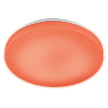 Livarno Home Deckenleuchte LED Zigbee 3.0 Smart Home - B-Ware Sonstiges