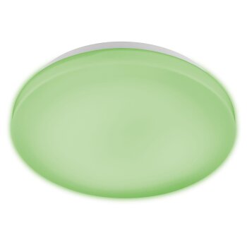 Livarno Home Deckenleuchte LED Zigbee 3.0 Smart Home - B-Ware Sonstiges