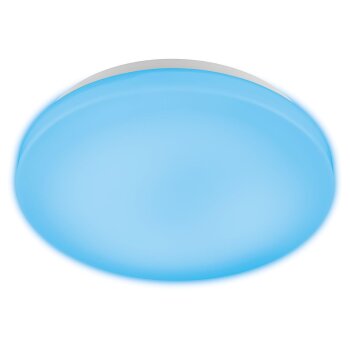 Livarno Home Deckenleuchte LED Zigbee 3.0 Smart Home - B-Ware Sonstiges