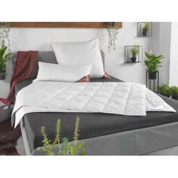 HÄUSSLING Dauneneinzieh-/Sommerdaunendecke (135 X...