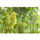 VIIRKUJA Gartennetz, 4 x 5 m, engmaschig (15 x 15 mm) - B-Ware neuwertig