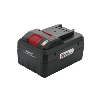 PARKSIDE PERFORMANCE® Smart Akku 20 V, 8 Ah »PAPS 208« - B-Ware sehr gut
