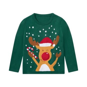 lupilu® Kleinkinder Jungen Pullover mit coolem Weihnachtsmotiv (grün, 98/104) - B-Ware sonstiges