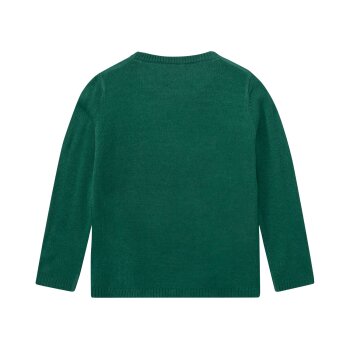 lupilu® Kleinkinder Jungen Pullover mit coolem Weihnachtsmotiv (grün, 98/104) - B-Ware sonstiges