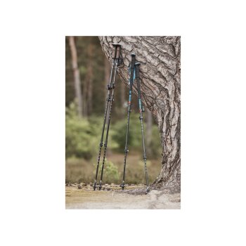 Rocktrail Trekking-Stöcke teleskopierbar 2er Set,...