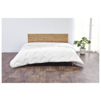 LIVARNO home 4-Jahreszeiten-Steppbett, 220 x 200 cm -...