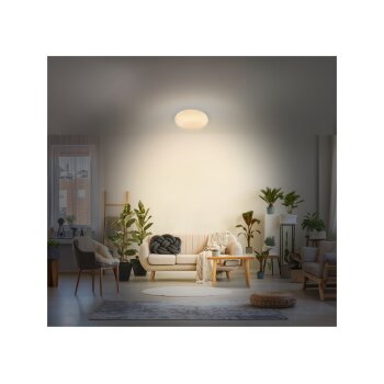 Livarno home Deckenleuchte Starlight LED, ohne Rand -...