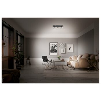 LIVARNO home LED-Deckenleuchte, 3 flammig, 4,8 W - B-Ware