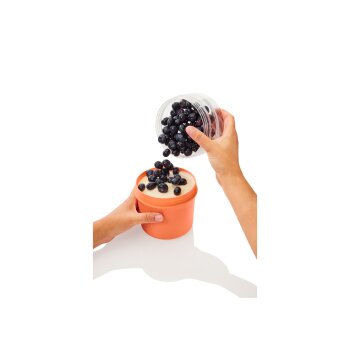 ERNESTO® Obst- / Joghurt-to-go-Box, mit Klappgabel - B-Ware
