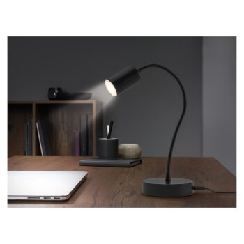 LIVARNO home LED-Klemmleuchte / LED-Tischleuchte, 2,4 W (Tischleuchte) - B-Ware sehr gut