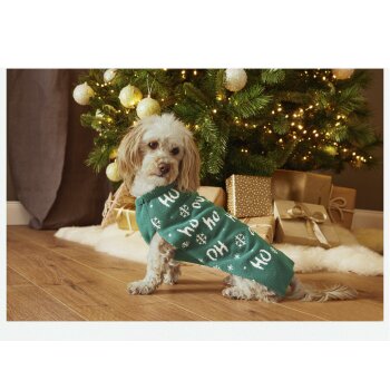 zoofari® Hundepullover, im Weihnachtsdesign - B-Ware