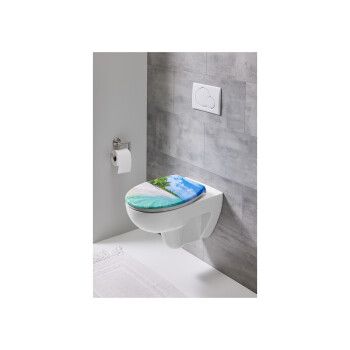 LIVARNO home Duroplast-WC-Sitz, mit Absenkautomatik (palme) - B-Ware sehr gut