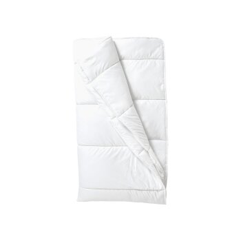 LIVARNO home Anti-Milben-Bettdecke, 260 x 240 cm - B-Ware sehr gut