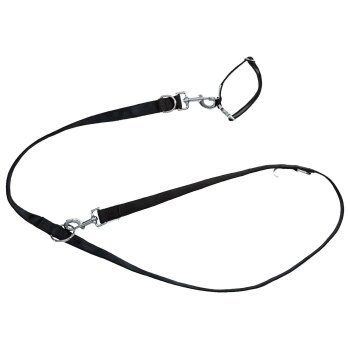 ZOOFARI® Hundehalsband und Hundeleine (Schwarz, M) -...