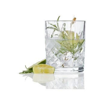 ERNESTO® Whiskey- /Longdrinkgläser, 4er-Set (Whiskeyglas) - B-Ware neuwertig