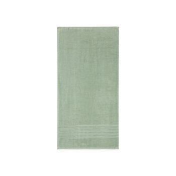 LIVARNO home Frottier-Handtücher, 2 Stück, 50 x 100 cm (hellgrün) - B-Ware neuwertig