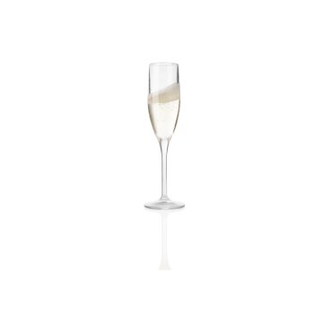 ERNESTO® Gläserset aus stabilem Kunststoff, 6-teilig, Champagnergläser, transparent - B-Ware neuwertig