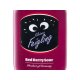 Kleiner Feigling Red Berry Sour 0,5 l 15% Vol