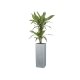 Scheurich Hochgefäß »Cube High«, Kunststoff, quadratisch, L 26 x B 26 x H 70 cm (Stony Grey, Höhe 70 cm) - B-Ware sehr gut