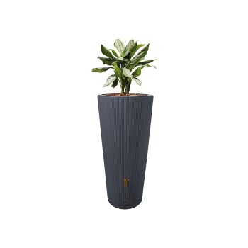 4rain 2in1 Regenspeicher »VASO DECOR«, 220 L, inkl. Fallrohrfilter und Auslaufhahn (anthrazit) - B-Ware sehr gut