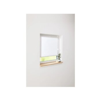 LIVARNO HOME Plissee-Rollo für Fenster, 85 x 130 cm - B-Ware