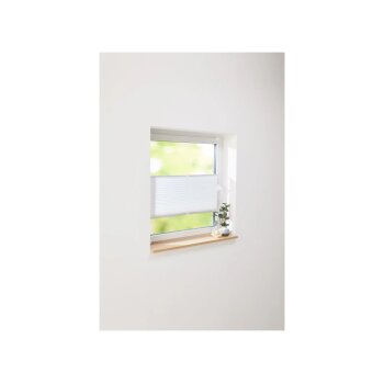 LIVARNO HOME Plissee-Rollo für Fenster, 85 x 130 cm - B-Ware