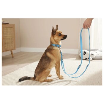 ZOOFARI® Hundehalsband und Leine, 3-fach verstellbar (L) - B-Ware neuwertig