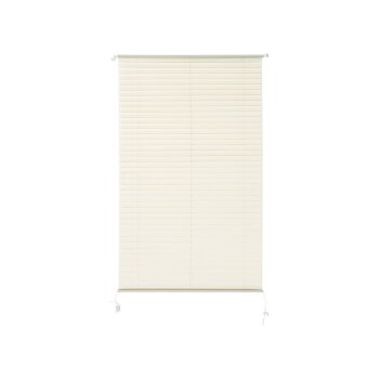 LIVARNO home Plissee-Rollo für Fenster, 75 x 130 cm (creme) - B-Ware sehr gut