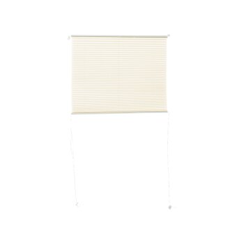 LIVARNO home Plissee-Rollo für Fenster, 75 x 130 cm (creme) - B-Ware sehr gut