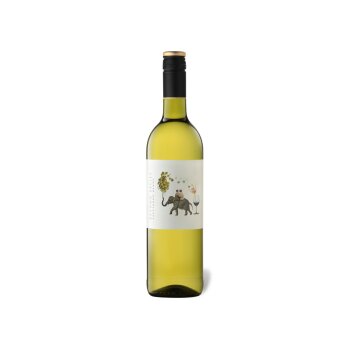 Beyond Belief Sauvignon Blanc Western Cape trocken,...