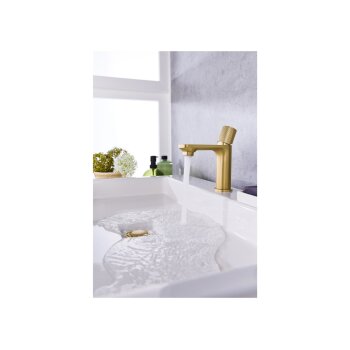 LIVARNO home Waschtischarmatur mit Knopfhebel - B-Ware