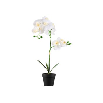 LIVARNO home Kunstpflanze Orchidee \ Kunstpflanze...