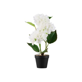 LIVARNO home Kunstpflanze Orchidee \ Kunstpflanze Ziergras \ Kunstpflanze Hortensie - B-Ware