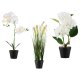 LIVARNO home Kunstpflanze Orchidee \ Kunstpflanze Ziergras \ Kunstpflanze Hortensie - B-Ware