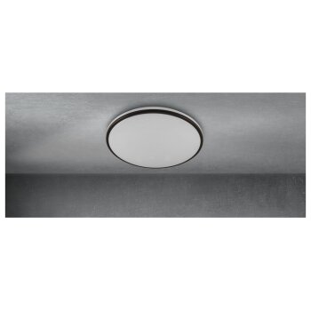 LIVARNO home LED-Deckenleuchte mit weißem Dimmer - B-Ware neuwertig