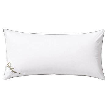 Fjödur 3-Kammer Feder- / Daunen-Kopfkissen (40 x 80...