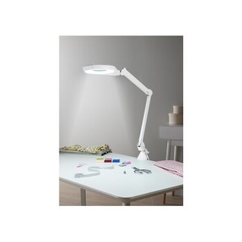 LIVARNO home LED-Lampe, mit Lupe - B-Ware neuwertig