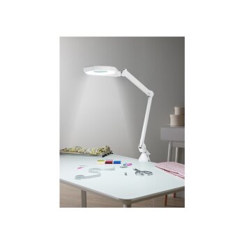 LIVARNO home LED-Lampe, mit Lupe - B-Ware sehr gut