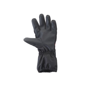 CRIVIT Skihandschuhe, wasser- und winddicht - B-Ware