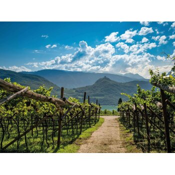 Kellerei Kaltern Lagrein Alto Adige DOC trocken, Rotwein 2024