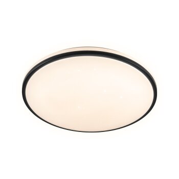 LIVARNO home LED-Deckenleuchte mit weißem Dimmer - B-Ware sehr gut