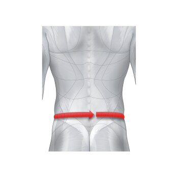 sensiplast® Rückenbandage, mit Stabelementen (S-M) - B-Ware sehr gut