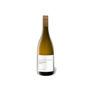Sauvignon Blanc Rheinhessen trocken, Weißwein 2023