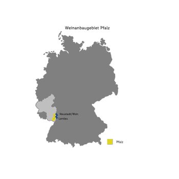 HAMMEL & CIE Riesling & Weißburgunder Pfalz QbA trocken, Weißwein 2024