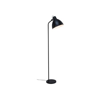 LIVARNO home LED-Stehleuchte, mit kippbarem Leuchtschirm - B-Ware