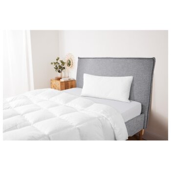 LIVARNO home Kopfkissen mit tierfreundlicher Füllung, 40 x 80 cm - B-Ware sehr gut