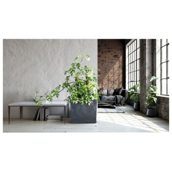 Prosperplast Blumentopf »URBI CASE TOWER«, 580x180x498 mm, Betoneffekt (anthrazit, 580x180x498) - B-Ware Transportschaden Kosmetisch